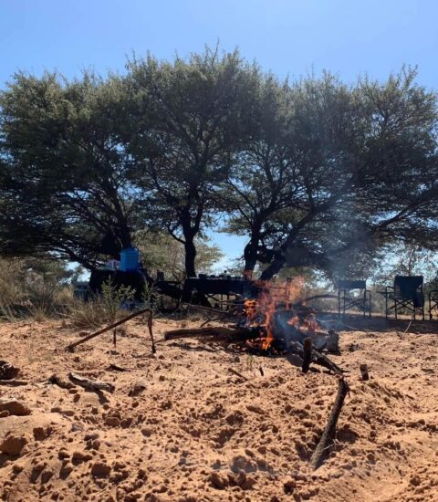 bush braai