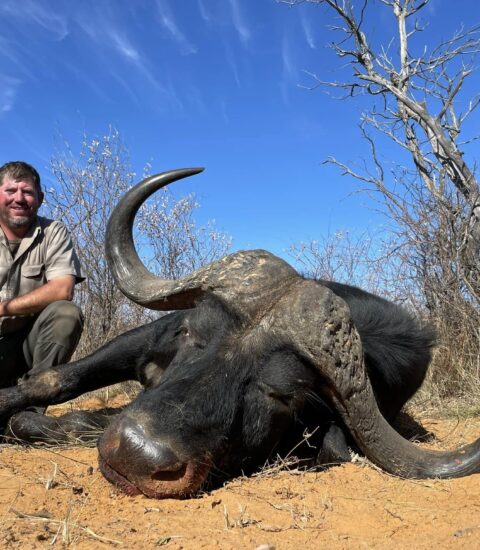 hunter kneeling next to dead buffalo