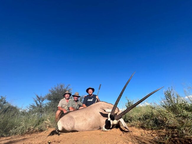 dead eland with three hunters with rifles