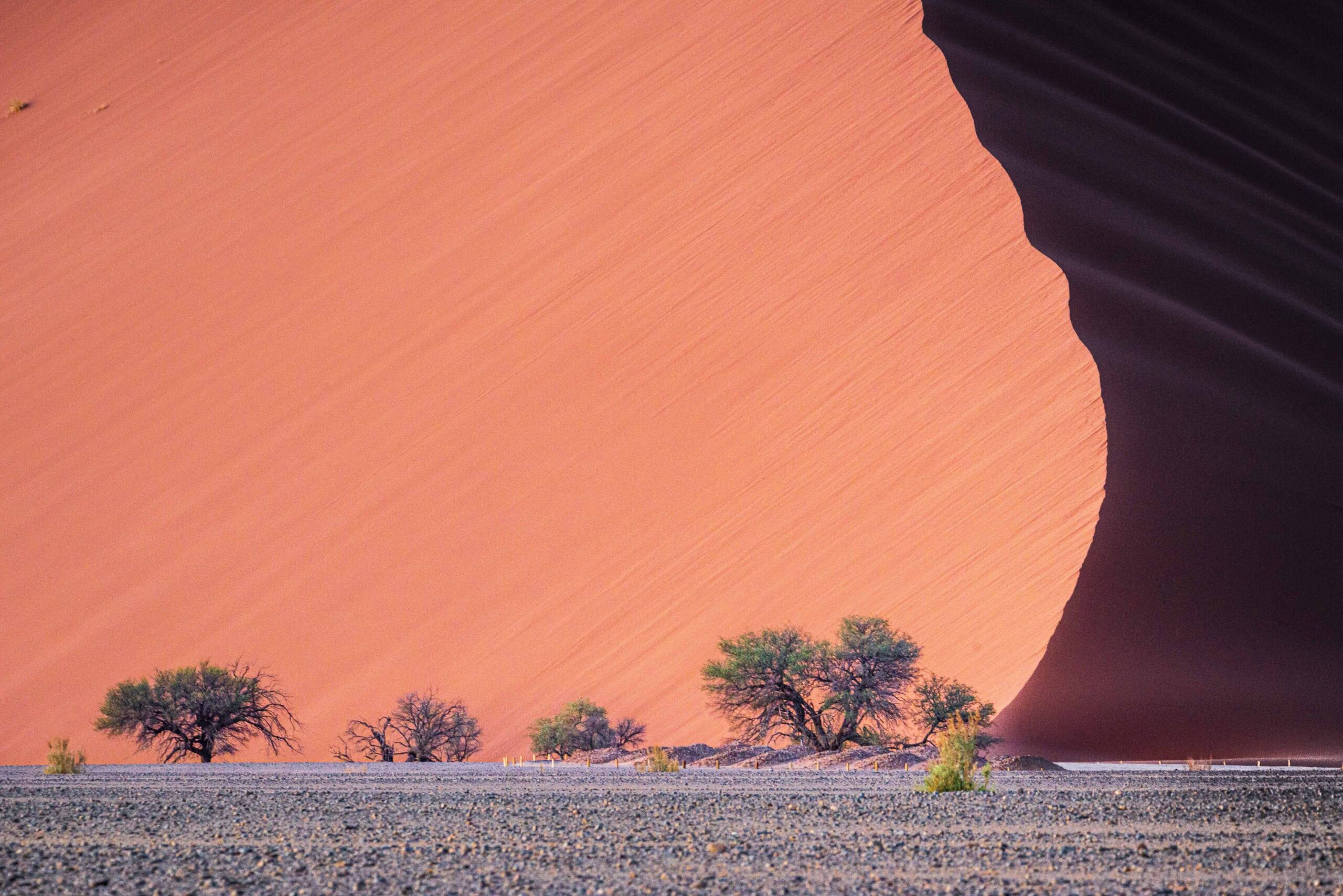 kalahari desert gems illustrated by earth, trees and sand dunes in distance