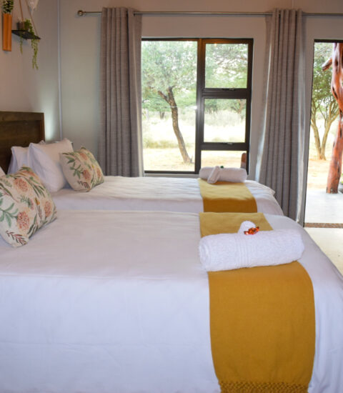 single beds from side at claassens safaris