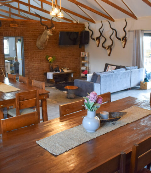 gallery illustrating lounge and dining area with taxidermy on walls of Claassens Safaris