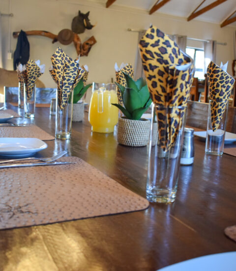 table decorations, place-mats with plates and cutlery