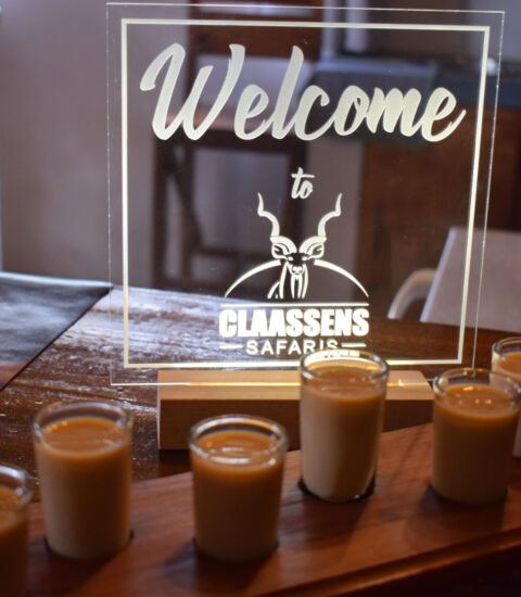 gallery illustrating sign on glass saying Welcom to Claassens Safaris