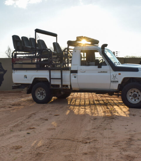 Gallery with vehicle of Professional Hunters of Claassens Safaris