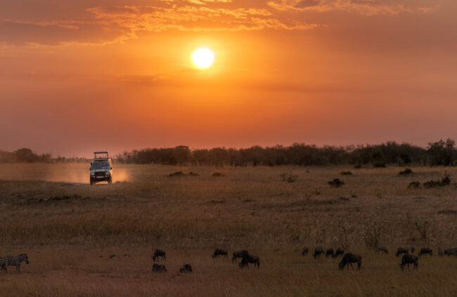 honoring dad with a sunset game drive in a 4x4