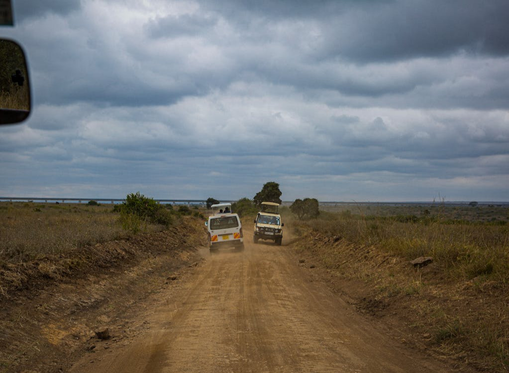 honoring dad with a game drive in a 4x4 on a winter safari