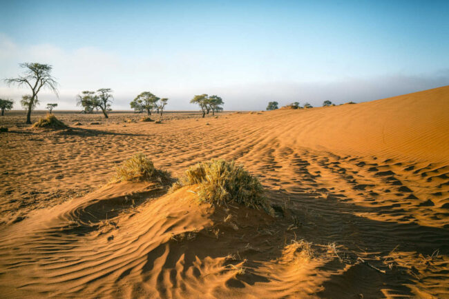 Kalahari’s Ancient Trade Routes illustrated by the Namibian plains