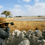 Capture Plains Game Portraits with photographer taking a picture of animals at waterhole