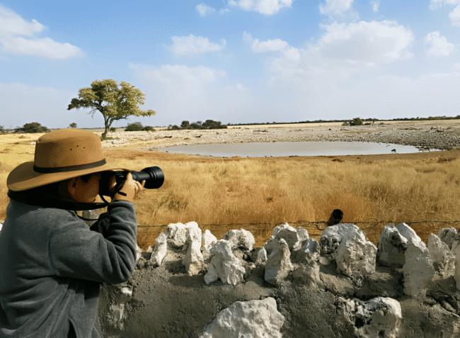 Capture Plains Game Portraits with photographer taking a picture of animals at waterhole